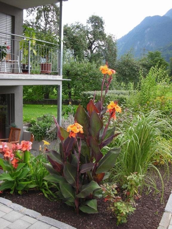 Apartment Bachmann Bludenz Exterior foto